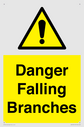 danger-falling-branches~